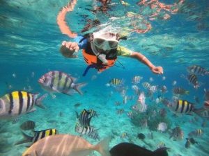 sewa snorkeling